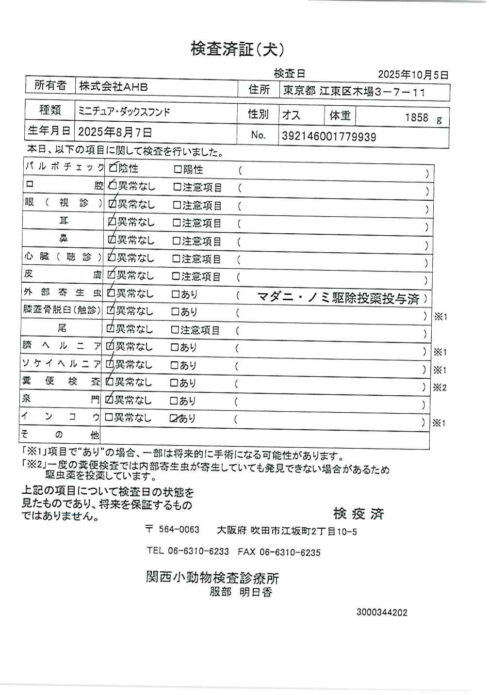 ミニチュア・ダックスフンド