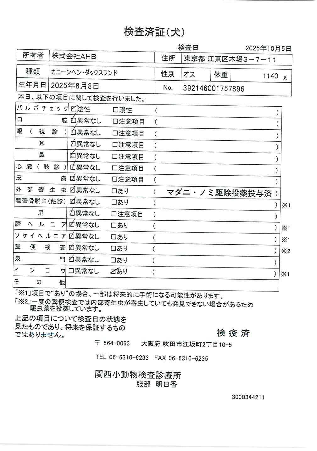 カニーンヘン・ダックスフンド