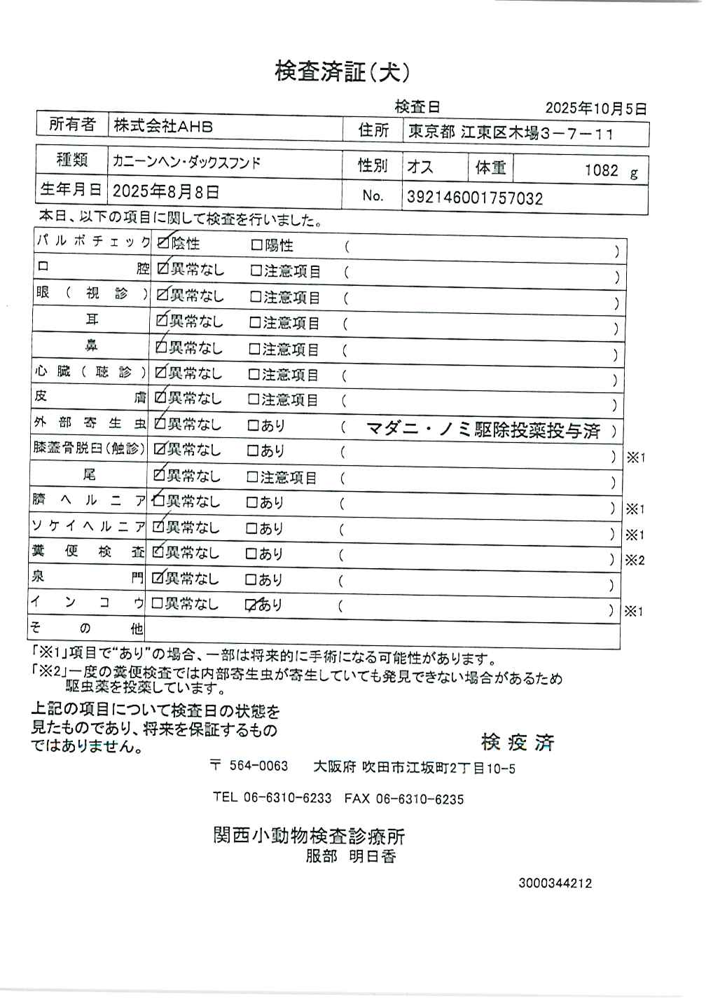 カニーンヘン・ダックスフンド