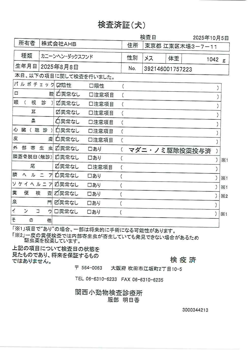 カニーンヘン・ダックスフンド