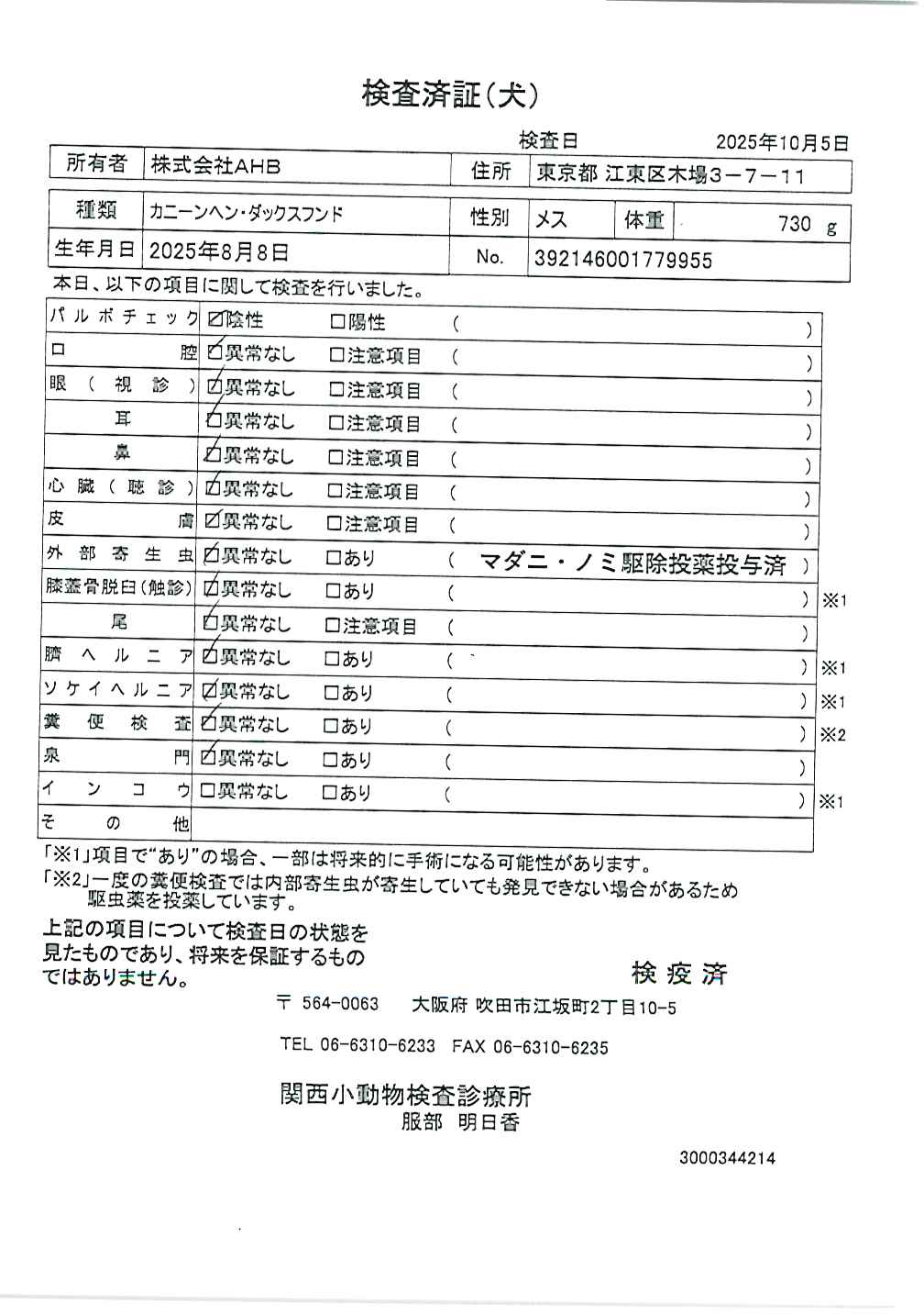 カニーンヘン・ダックスフンド
