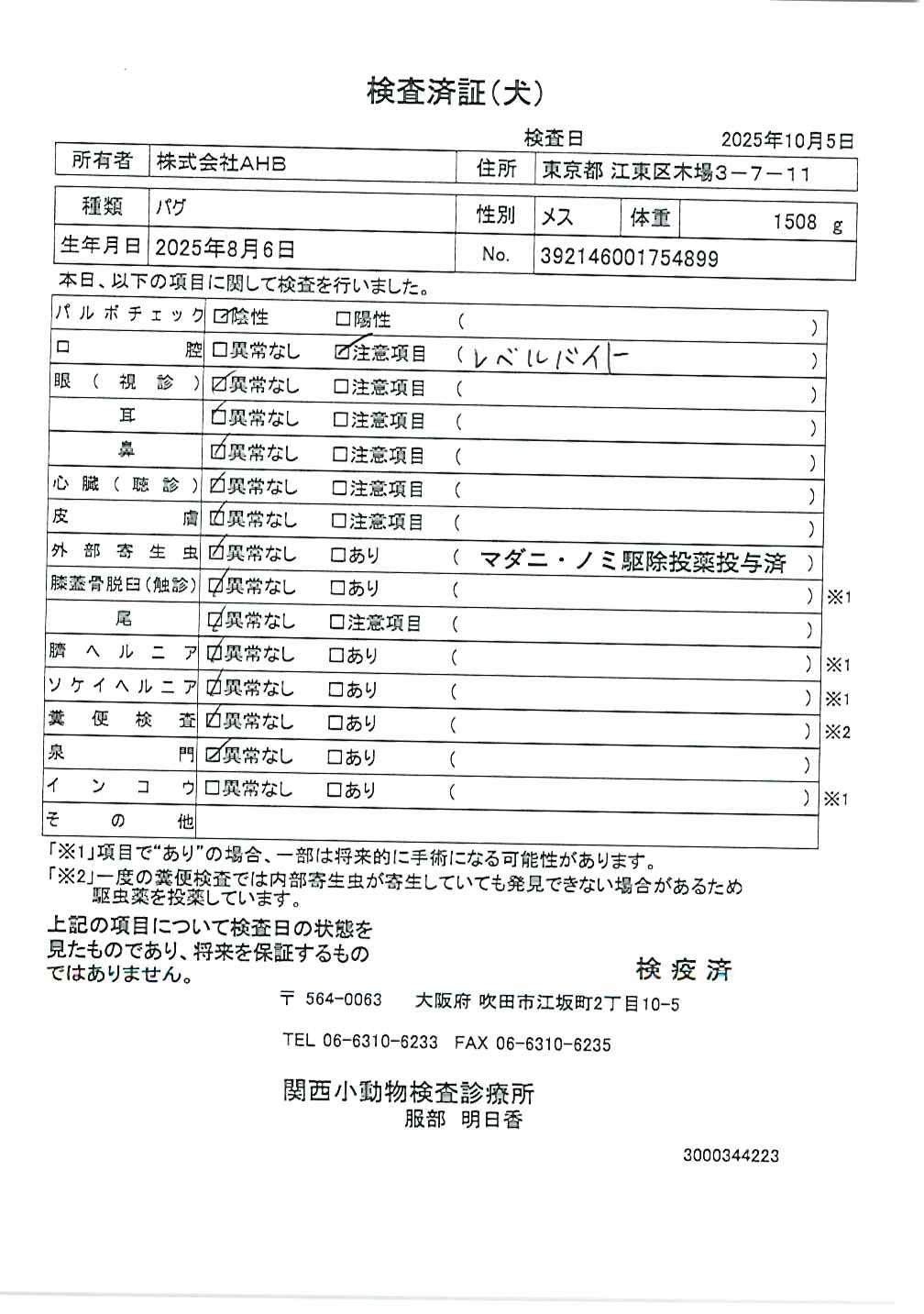 パグ