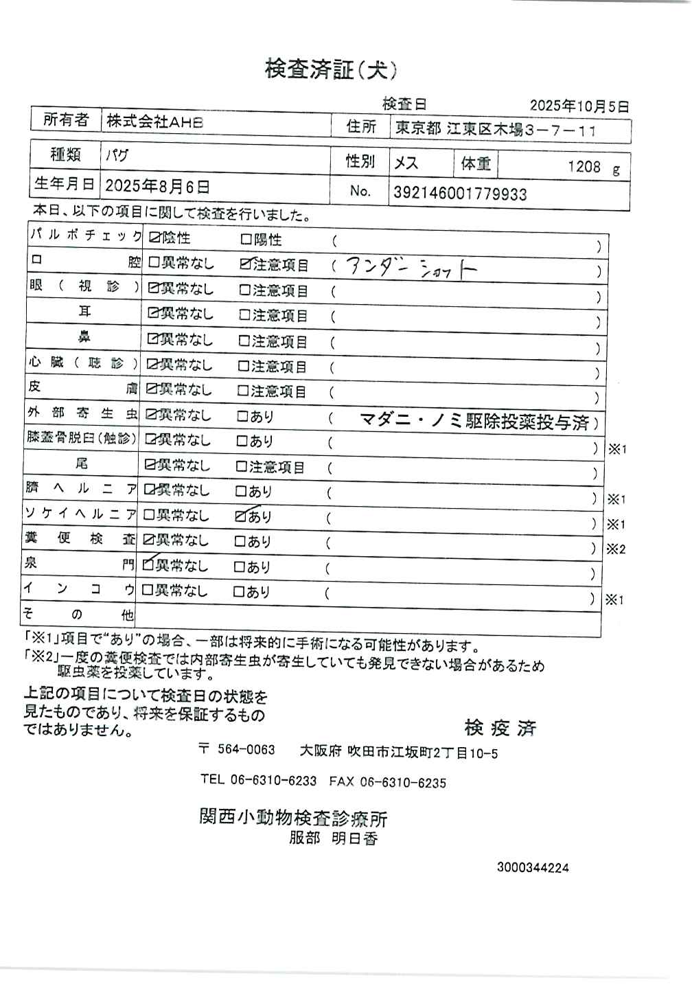 パグ