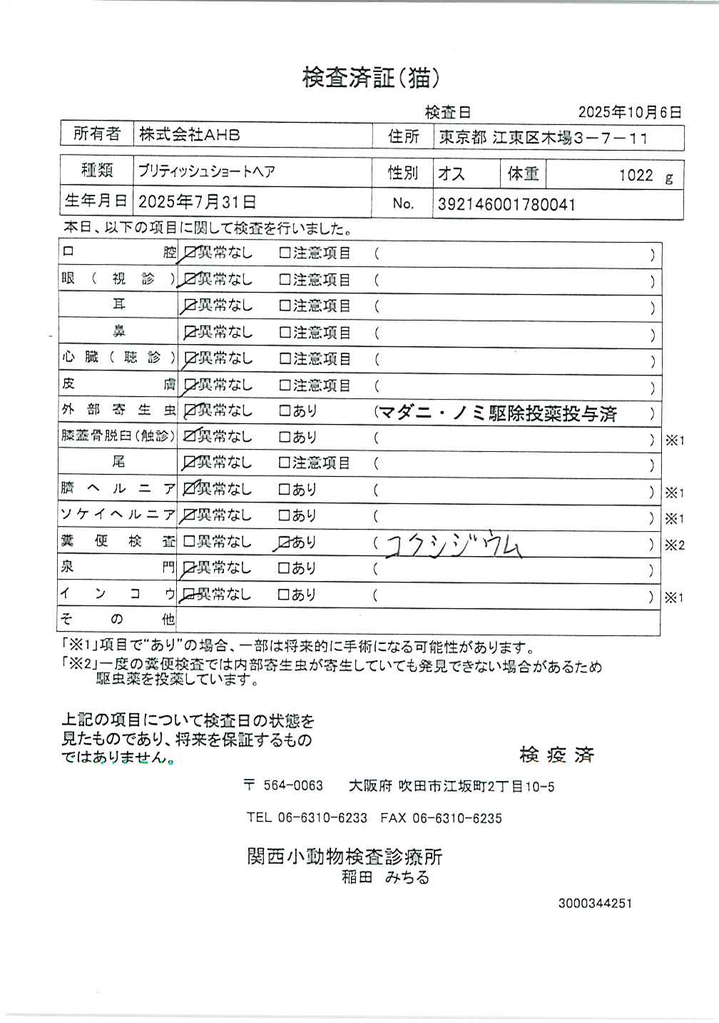 ブリティッシュショートヘア