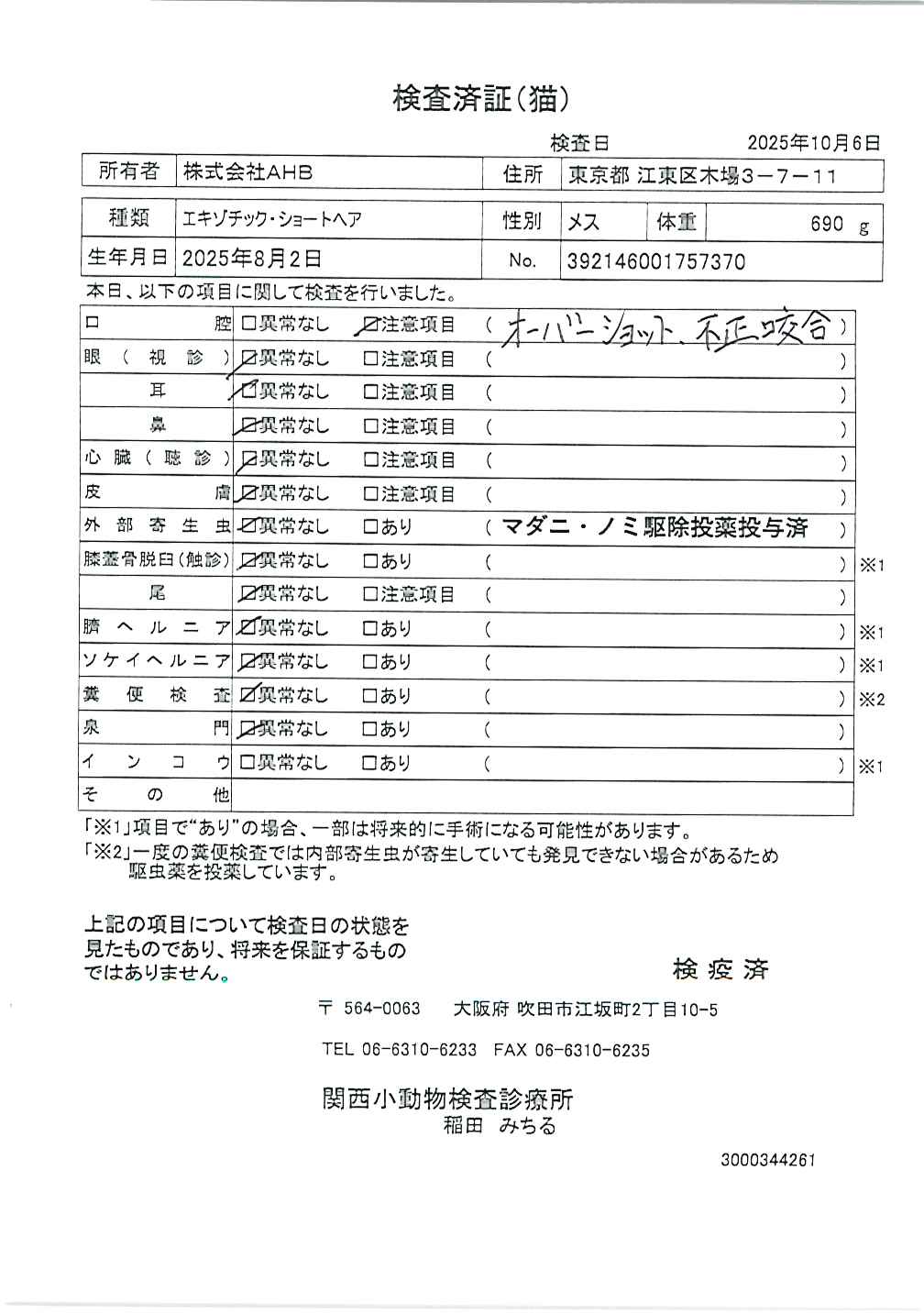 エキゾチック・ショートヘア