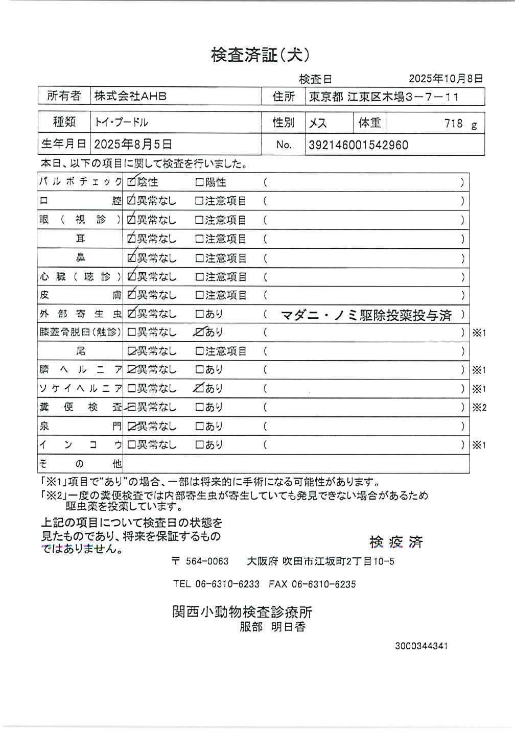 トイ・プードル