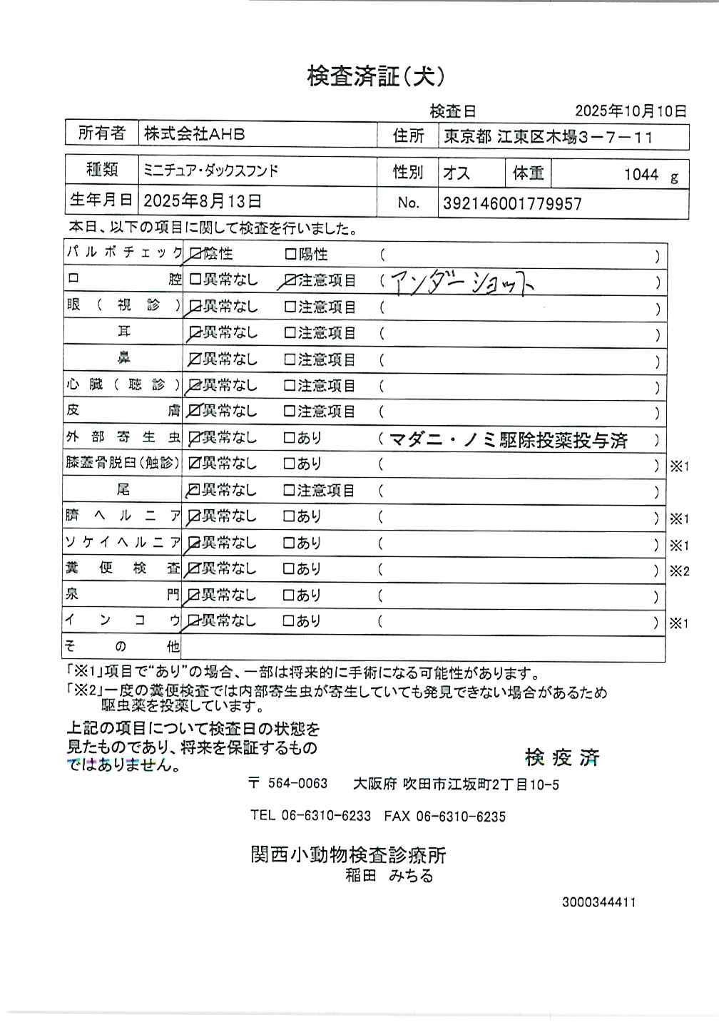 ミニチュア・ダックスフンド