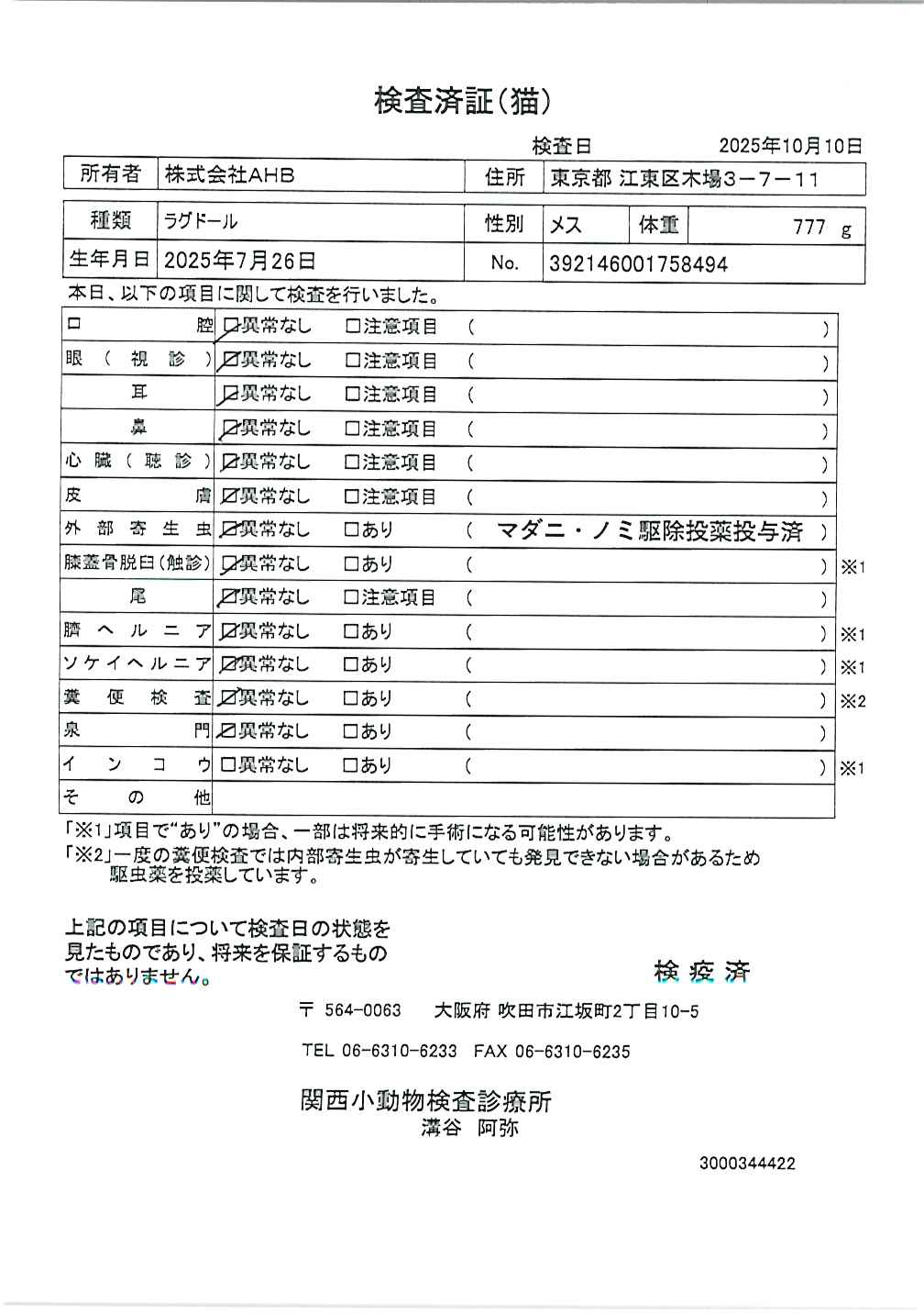ラグドール