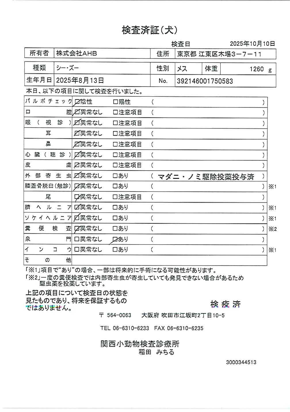 シー・ズー