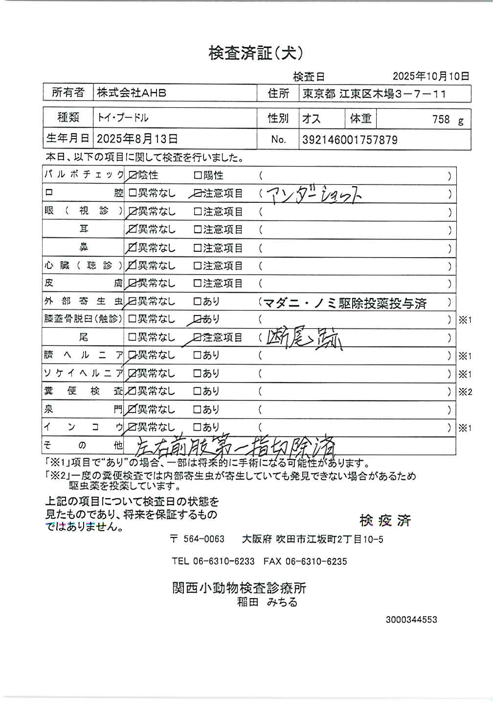 トイ・プードル