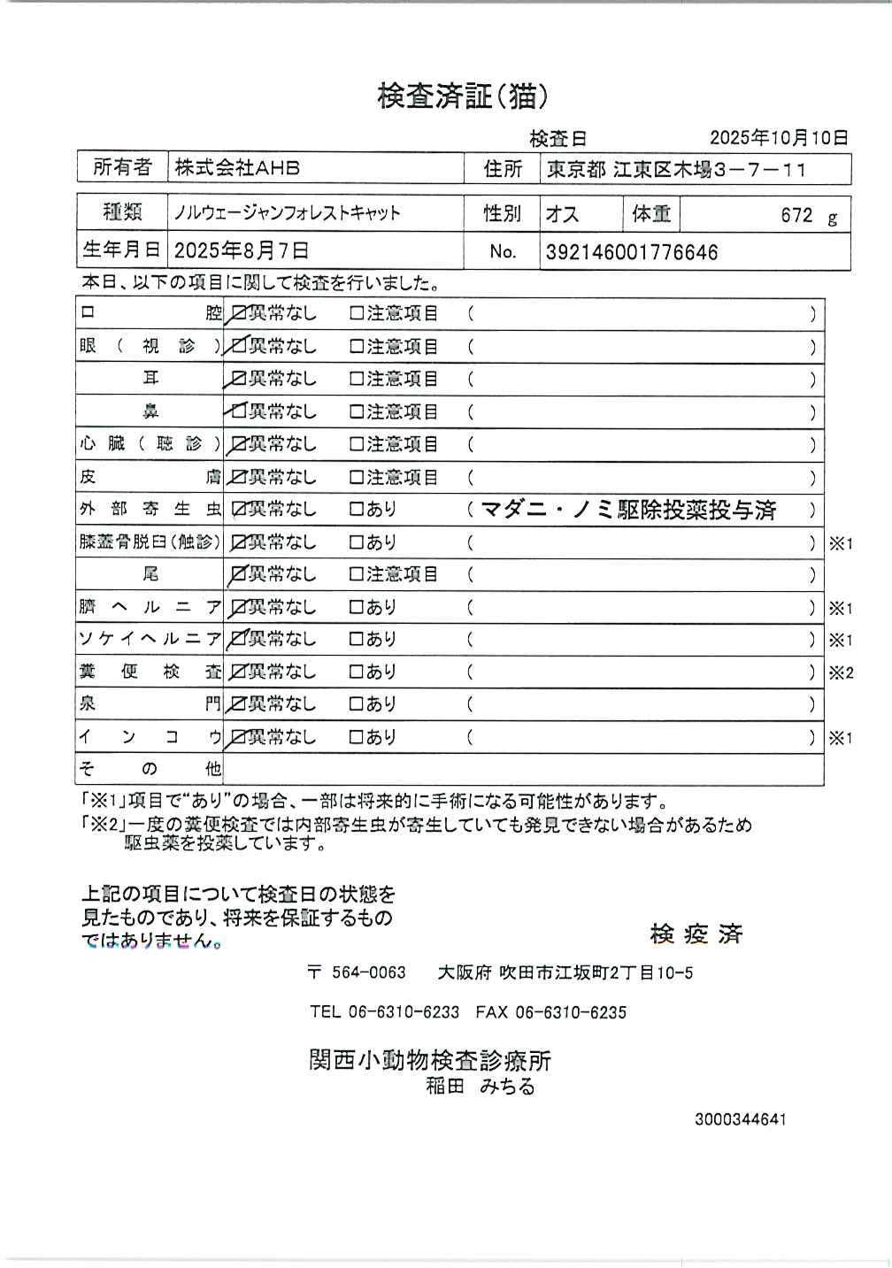 ノルウェージャンフォレストキャット