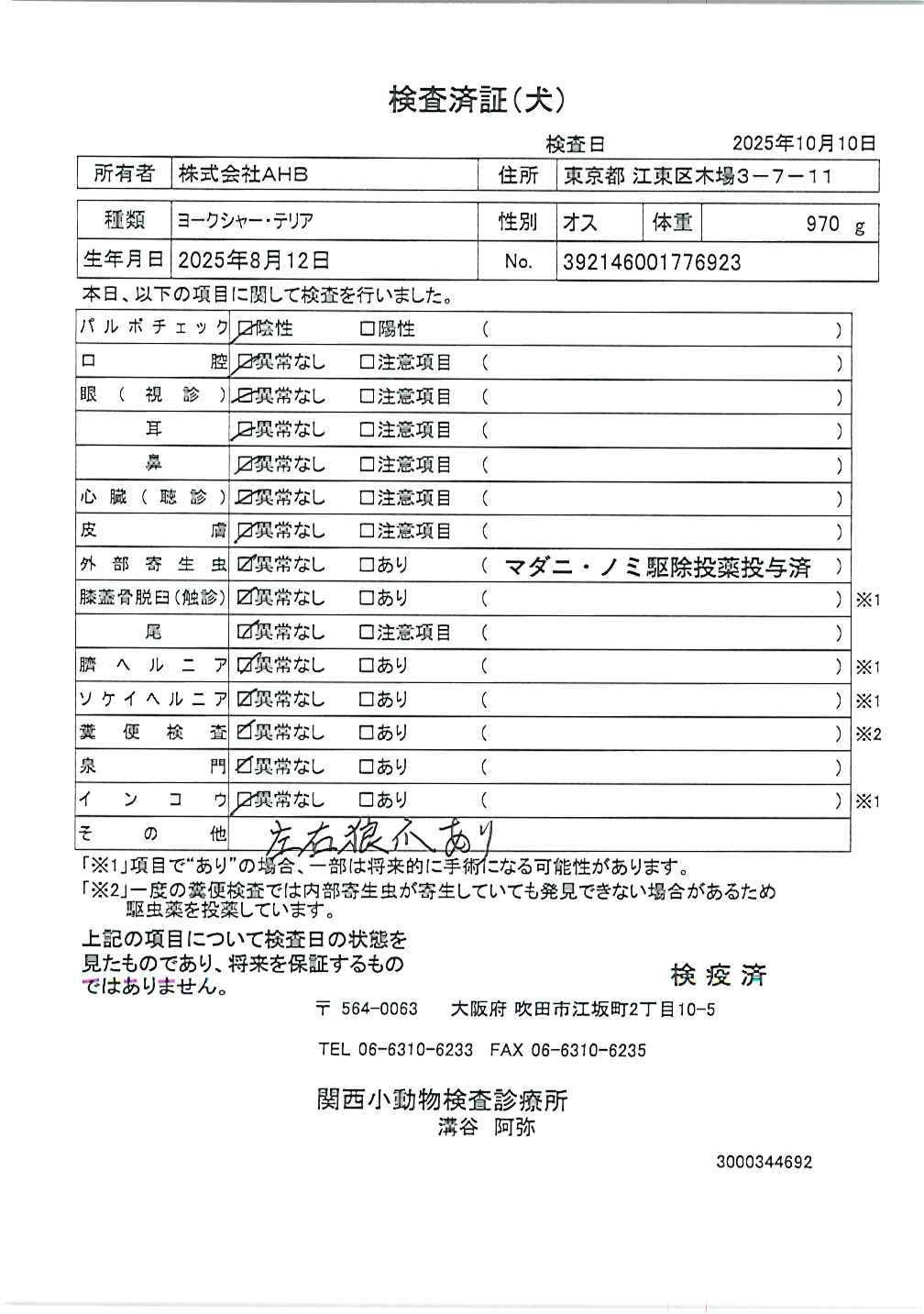 ヨークシャー・テリア