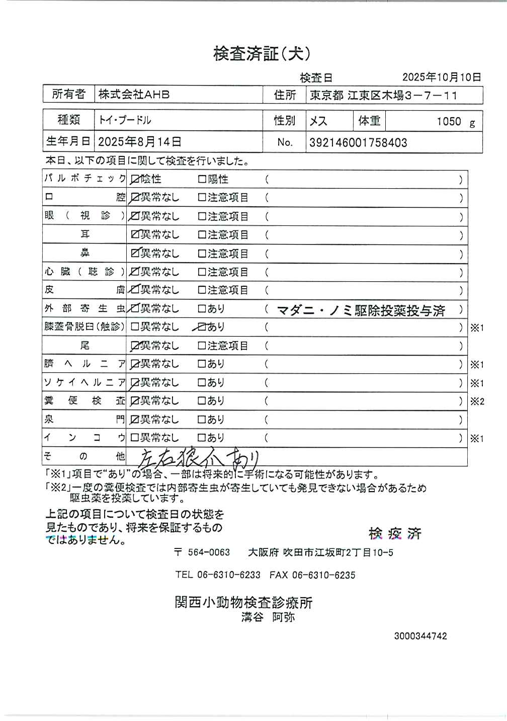 トイ・プードル