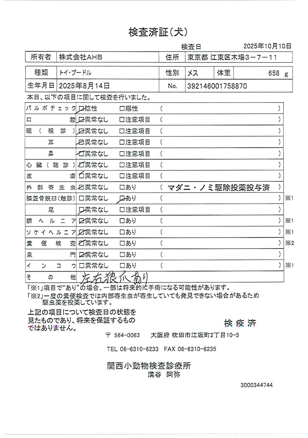 トイ・プードル