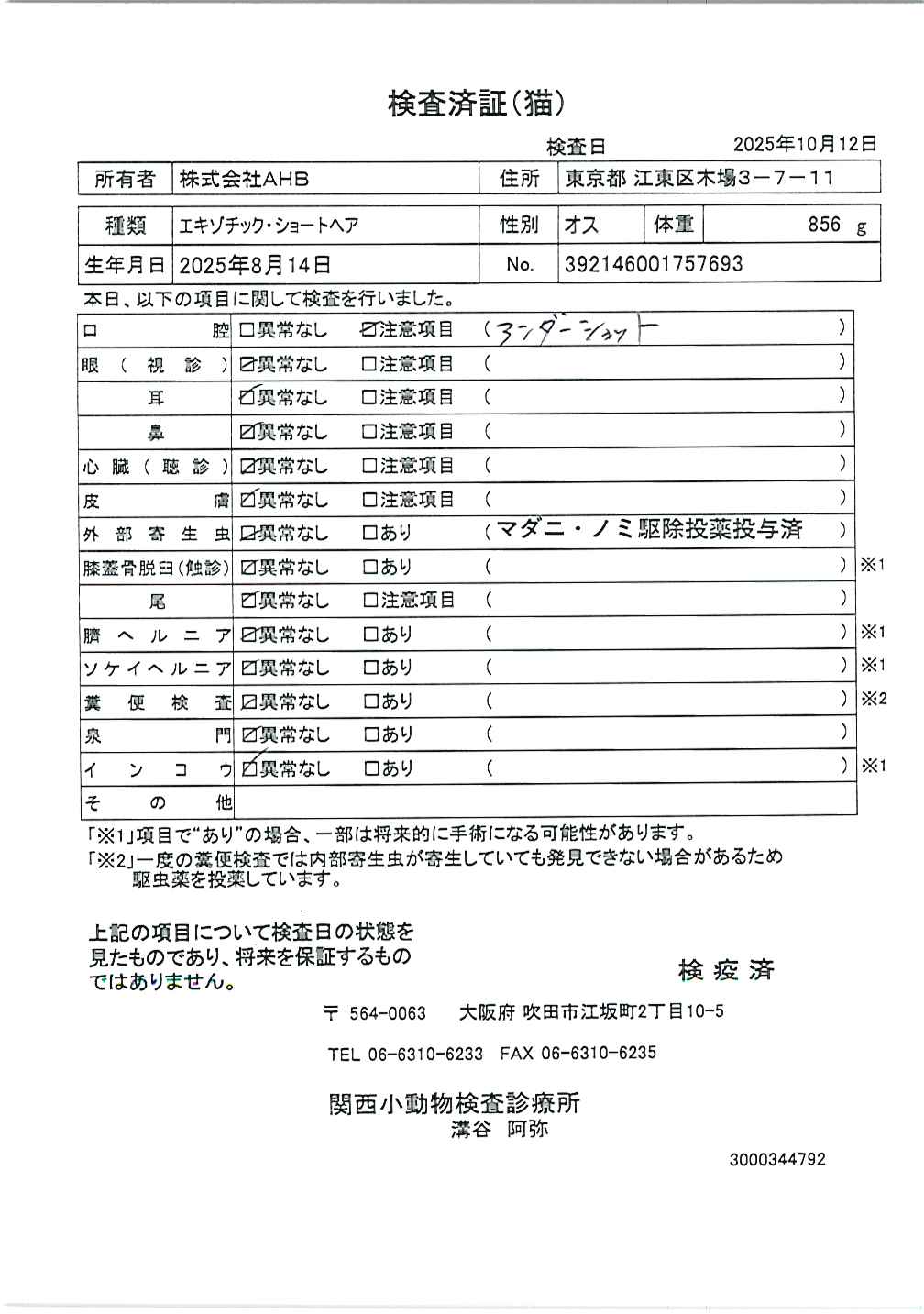 エキゾチック