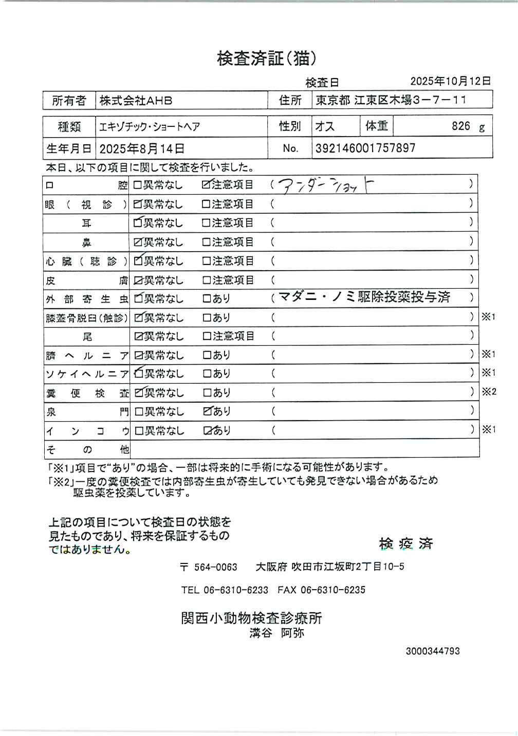 エキゾチック