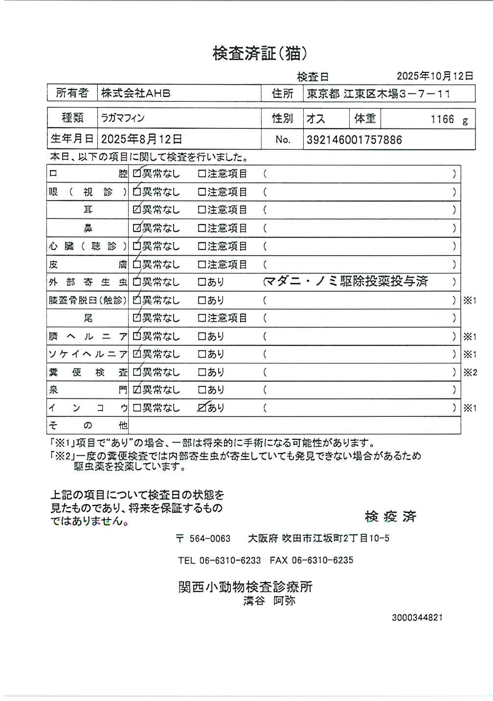 ラガマフィン