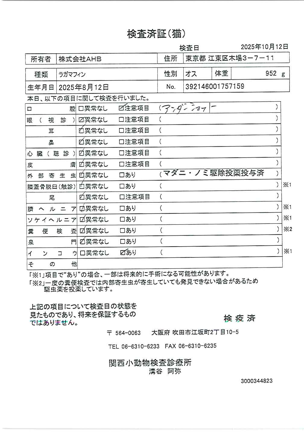 ラガマフィン