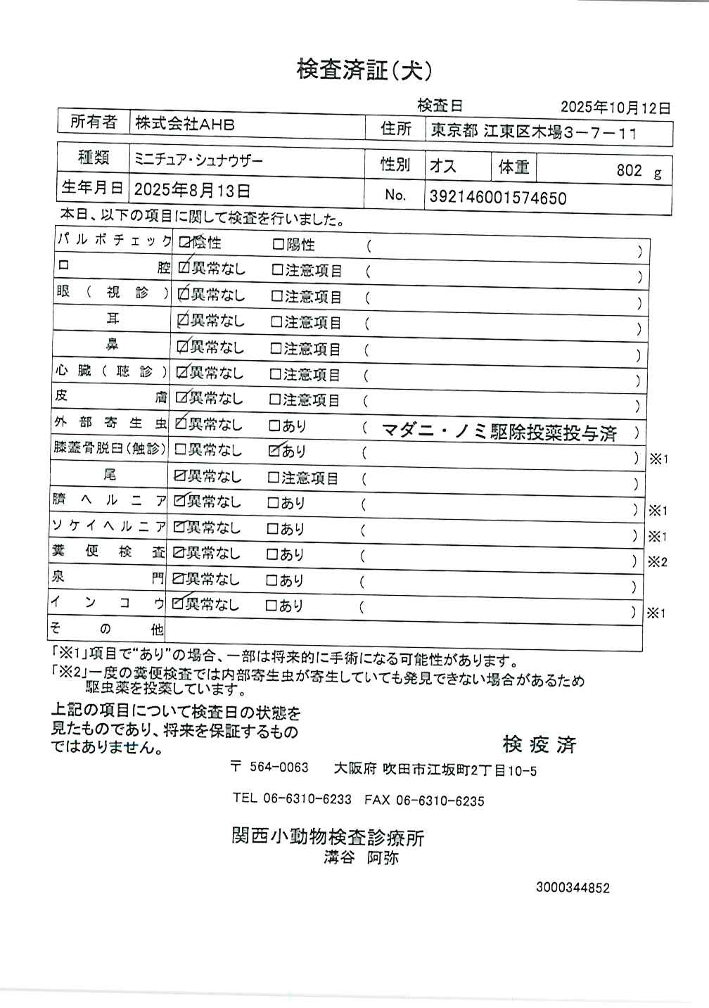ミニチュア・シュナウザー