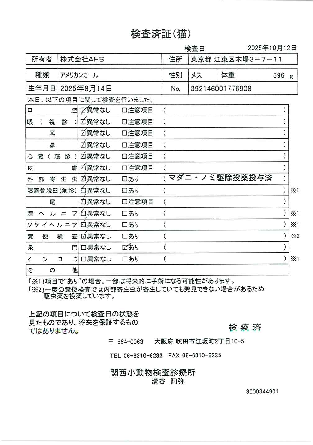 アメリカンカール