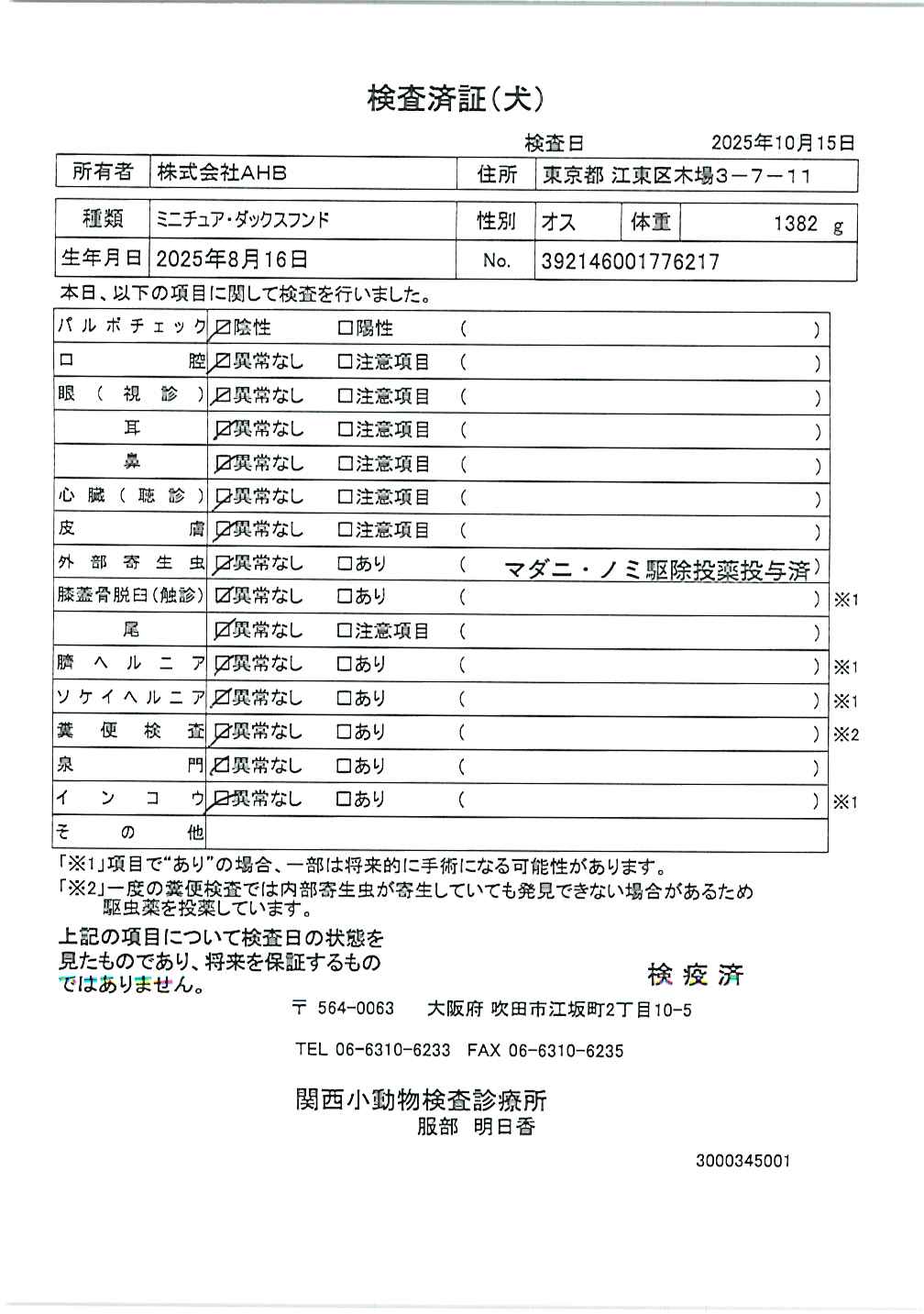 ミニチュア・ダックスフンド