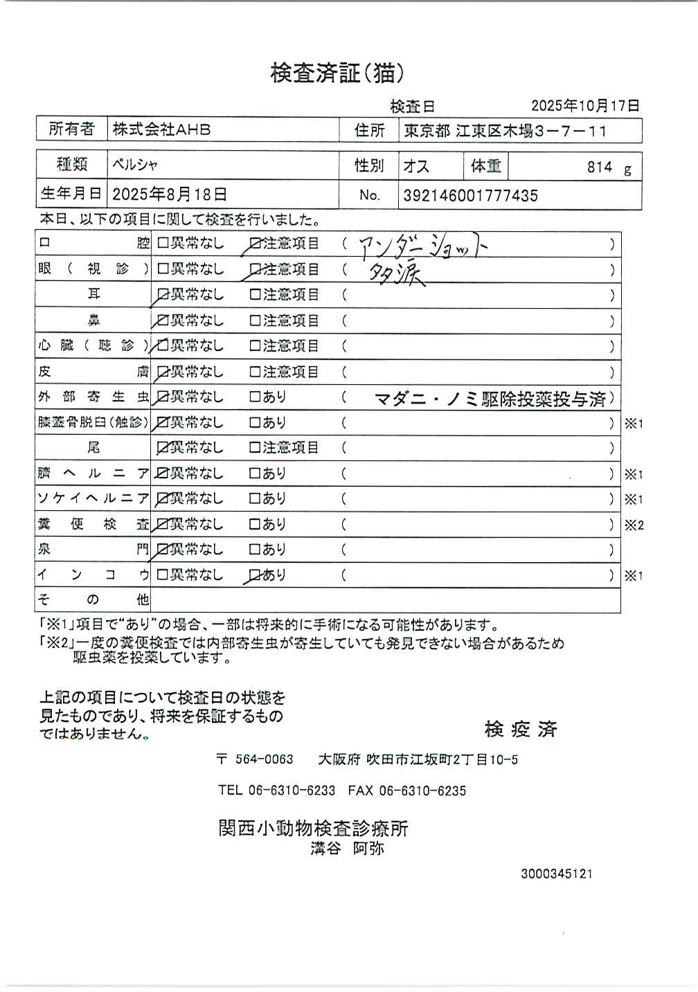ペルシャ