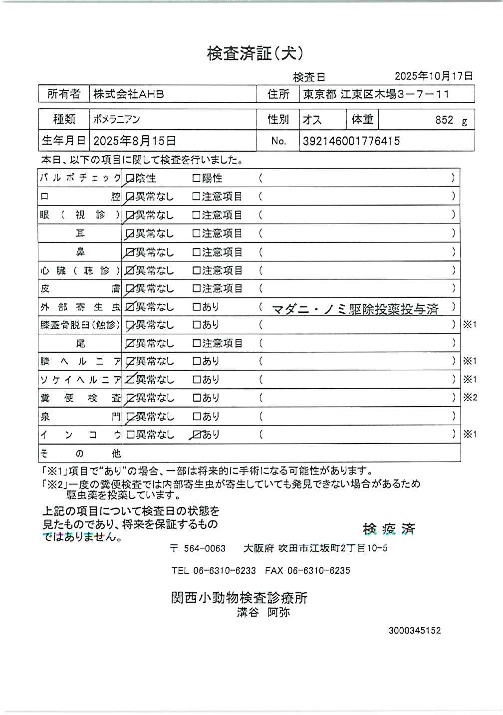 ポメラニアン
