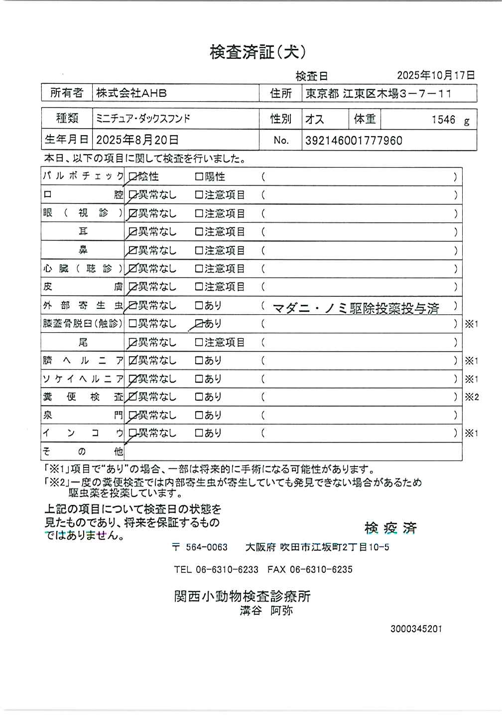 ミニチュア・ダックスフンド