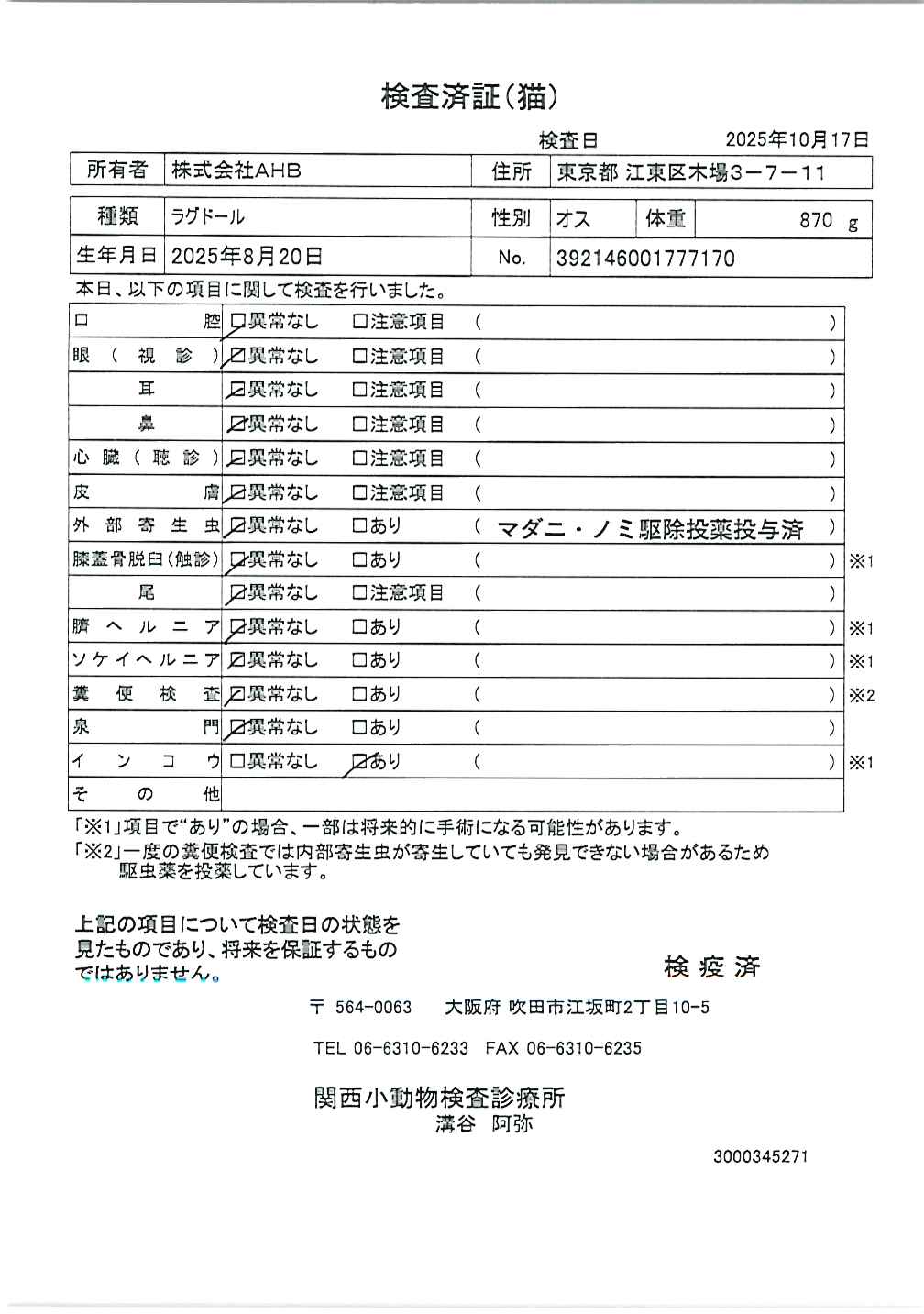 ラグドール