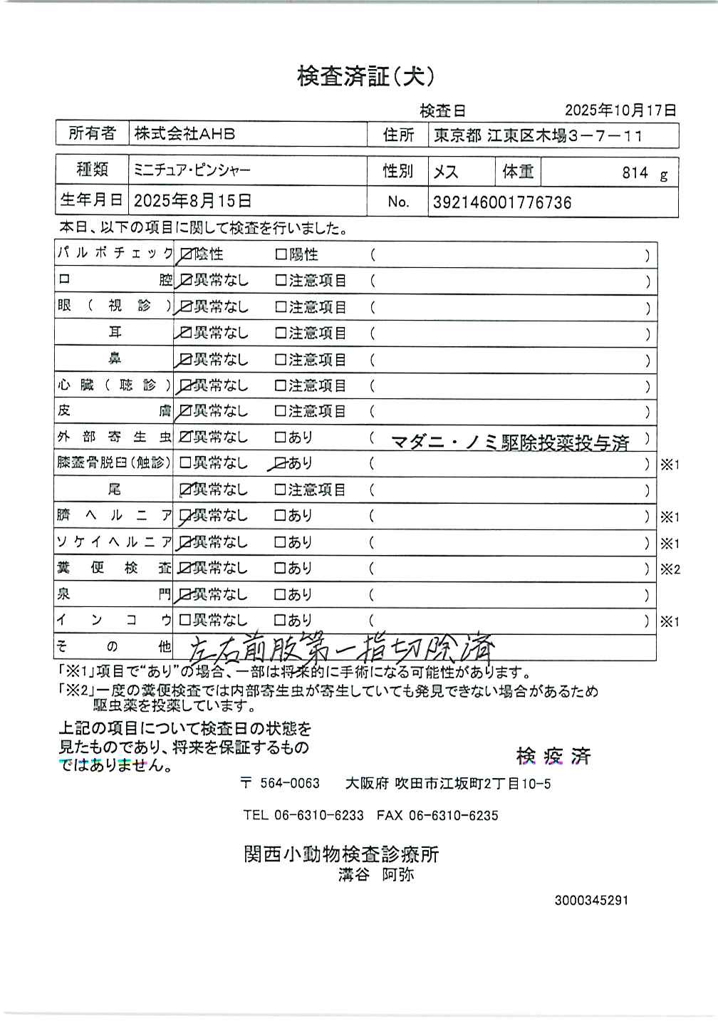 ミニチュア・ピンシャー