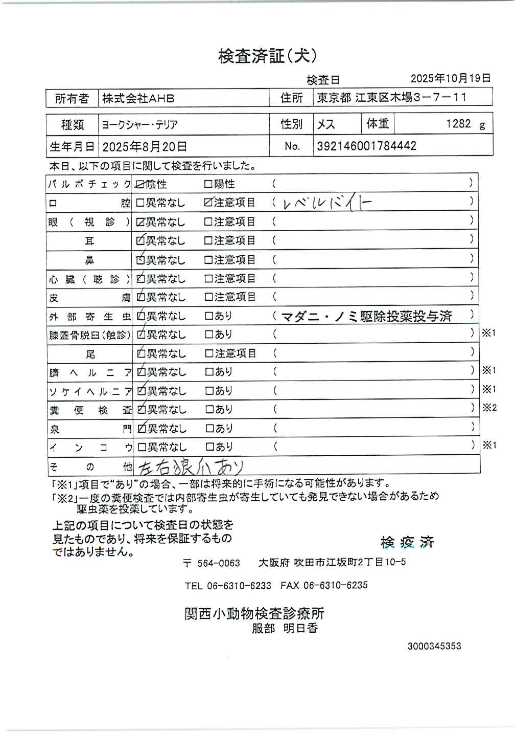 ヨークシャー・テリア