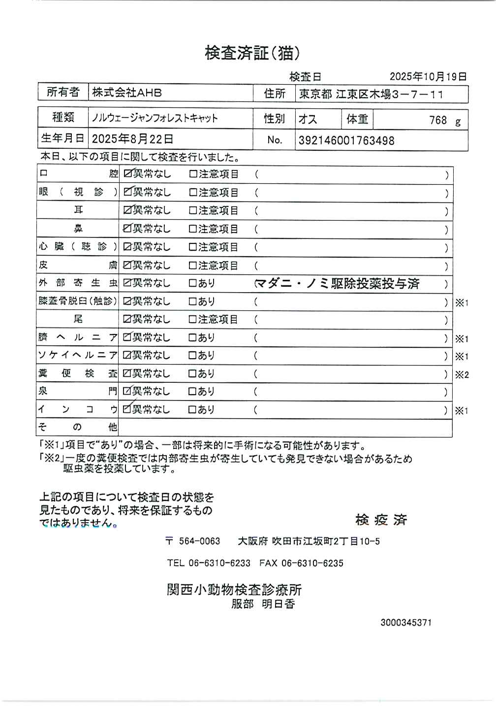ノルウェージャンフォレストキャット