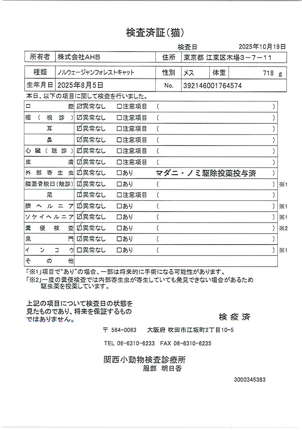 ノルウェージャンフォレストキャット