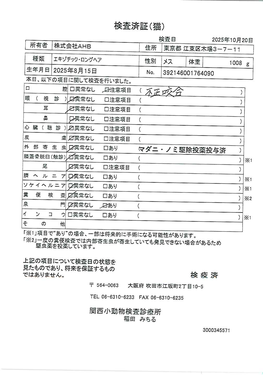 エキゾチック・ロングヘア