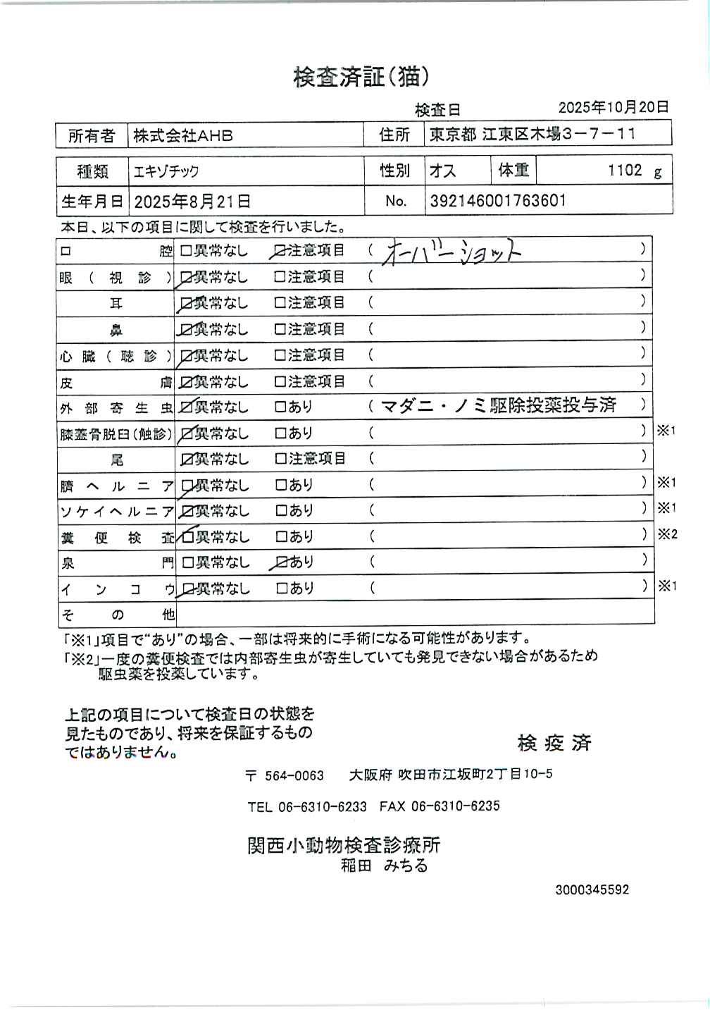 エキゾチック