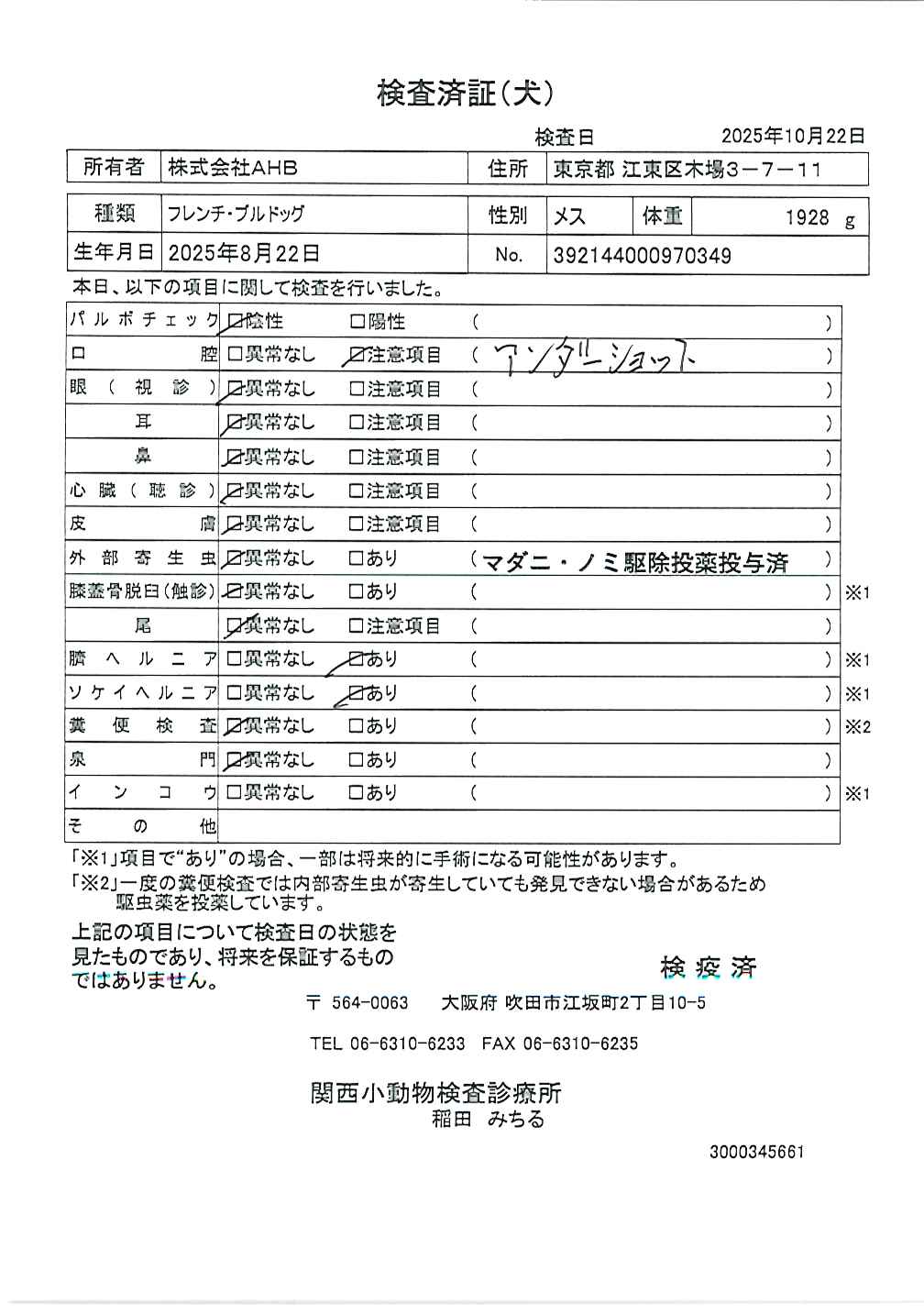 フレンチ・ブルドッグ