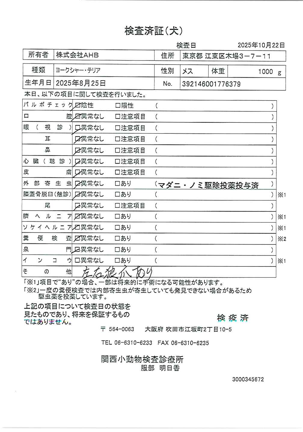 ヨークシャー・テリア