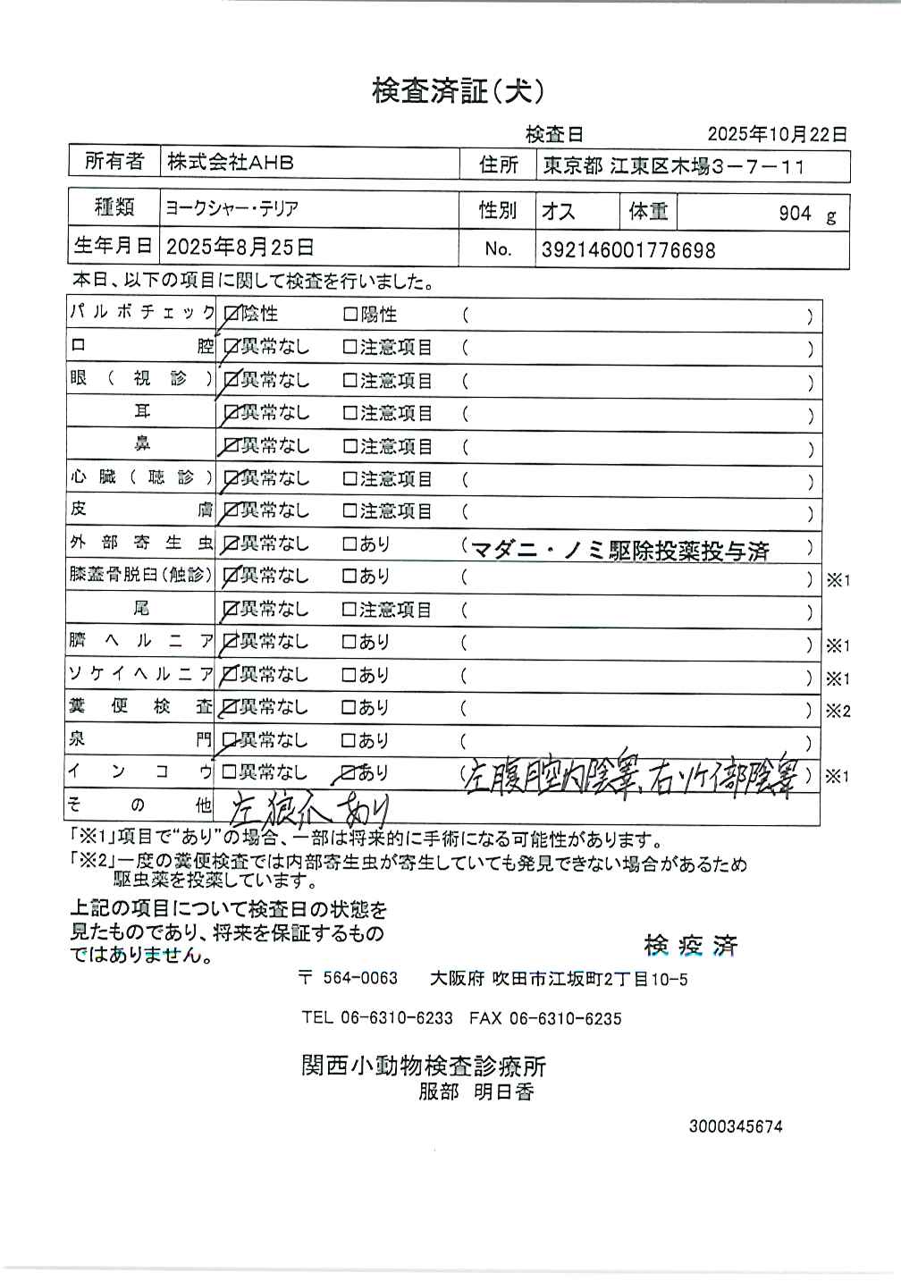 ヨークシャー・テリア
