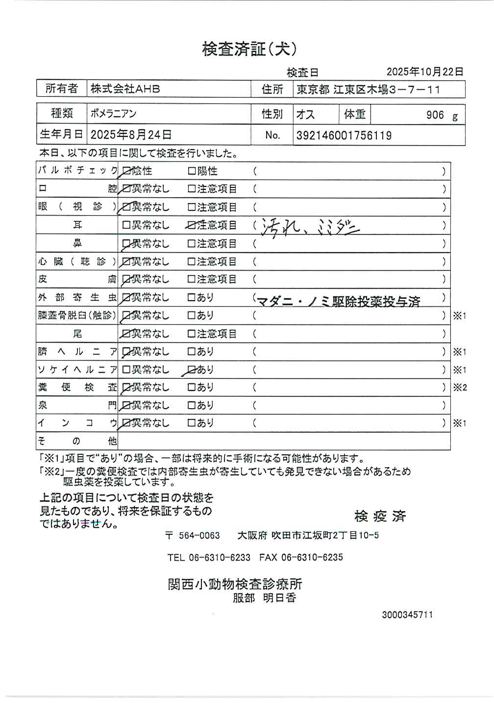 ポメラニアン