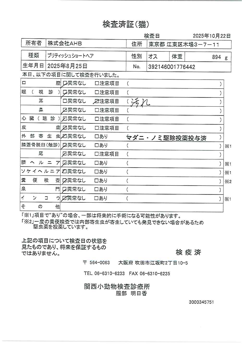 ブリティッシュショートヘア