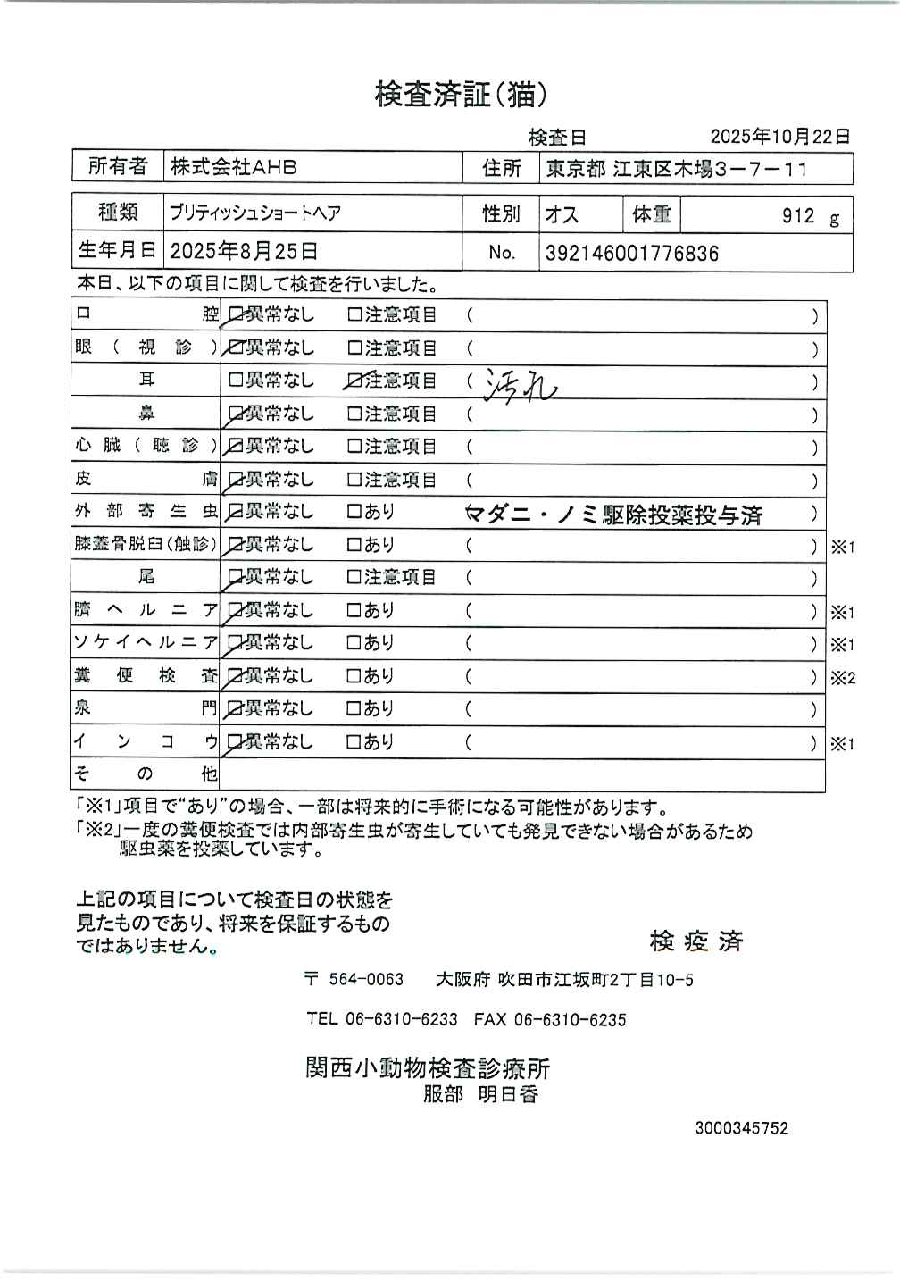 ブリティッシュショートヘア