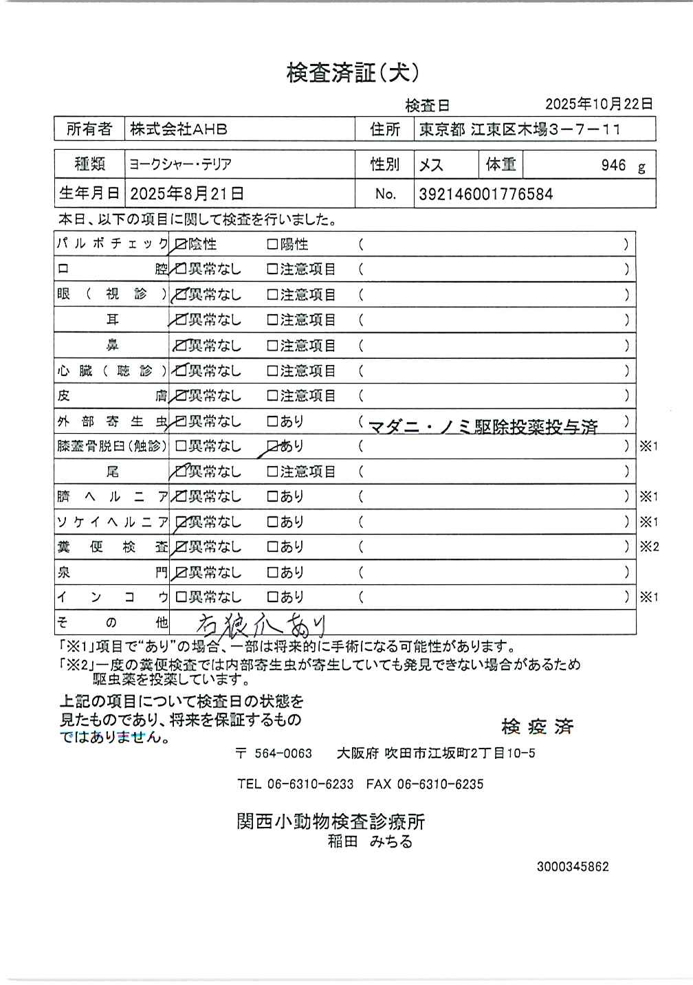 ヨークシャー・テリア
