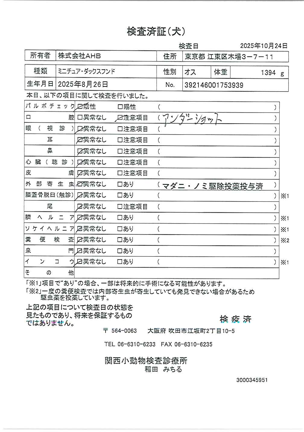 ミニチュア・ダックスフンド