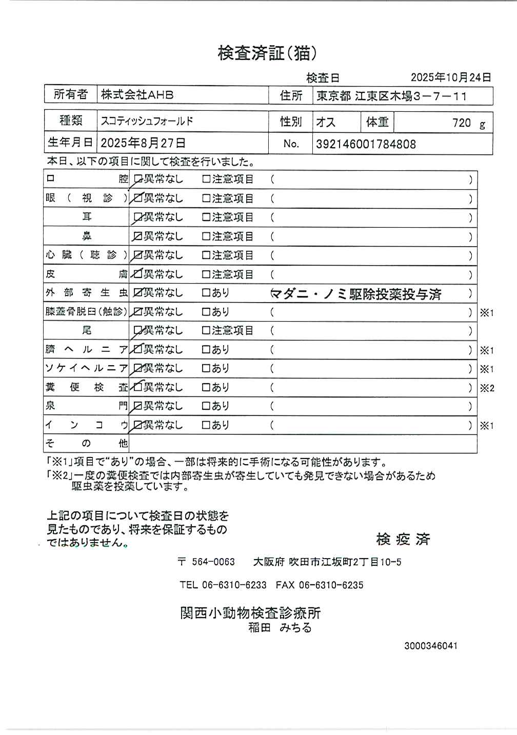 スコティッシュフォールド