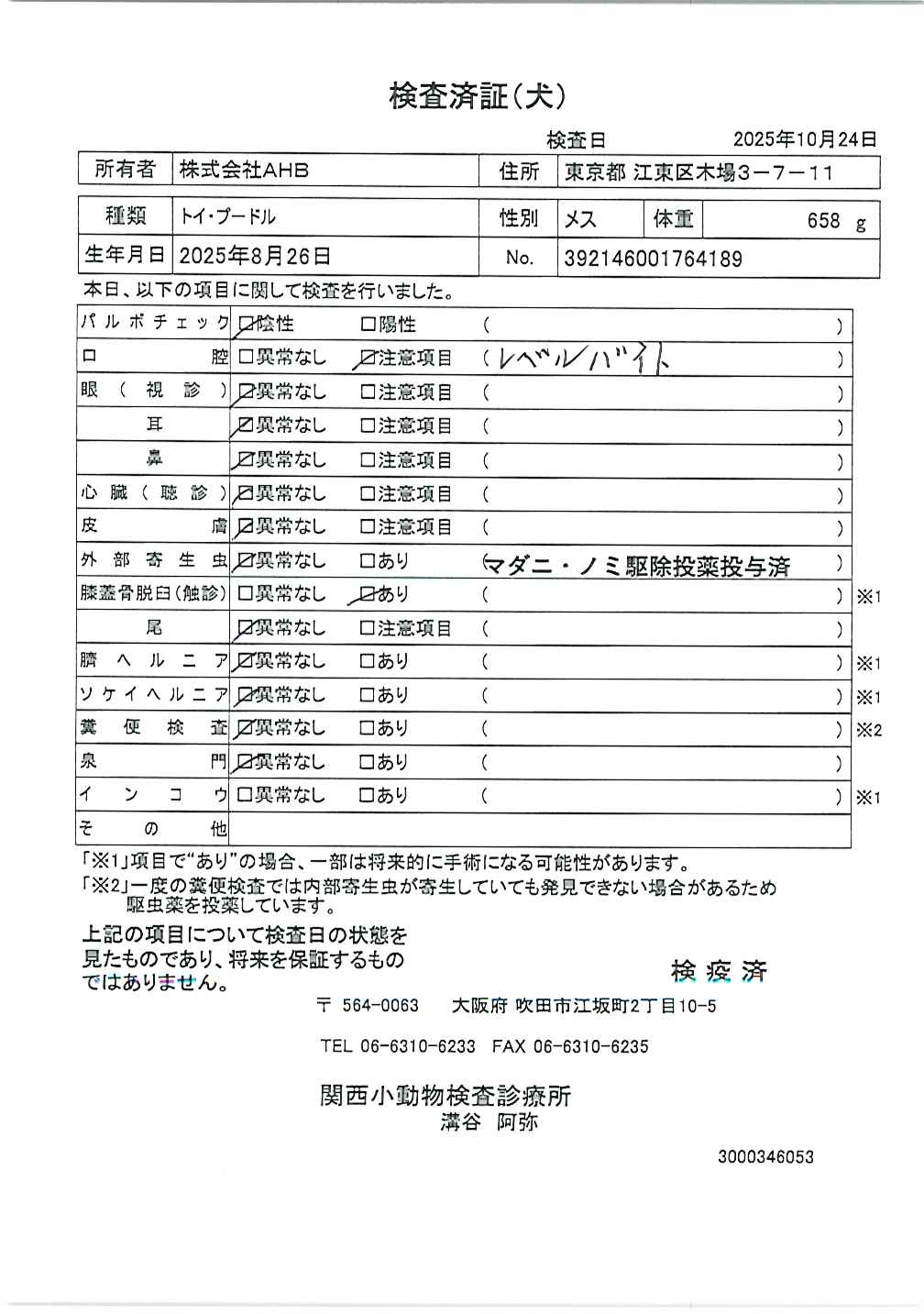 トイ・プードル