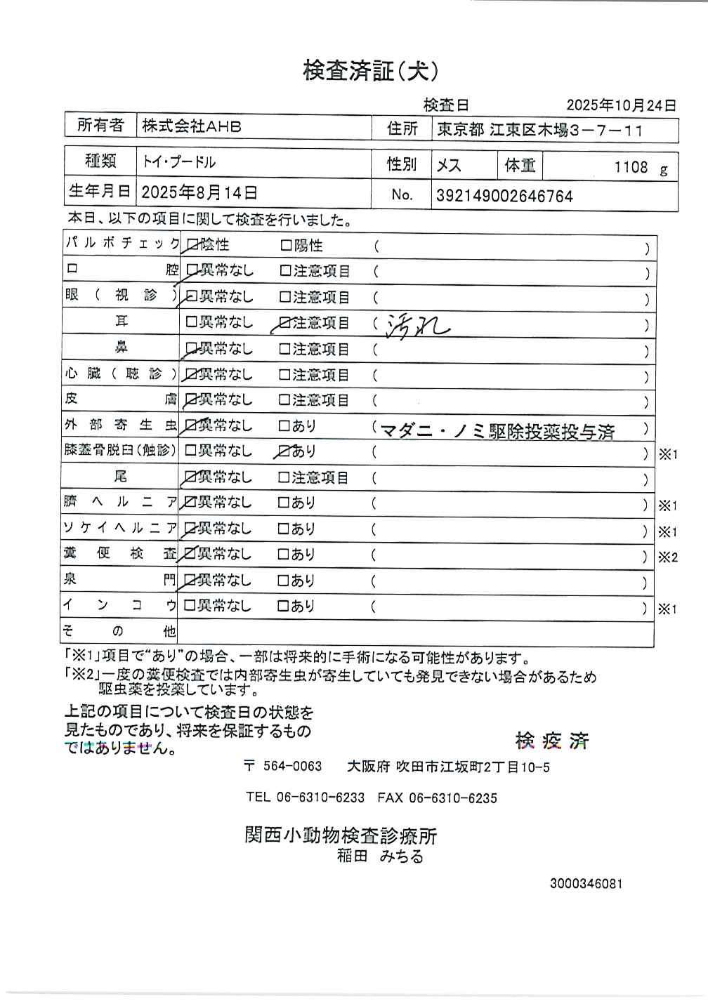 トイ・プードル