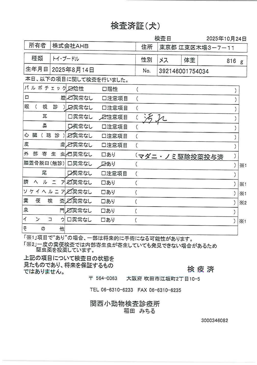 トイ・プードル