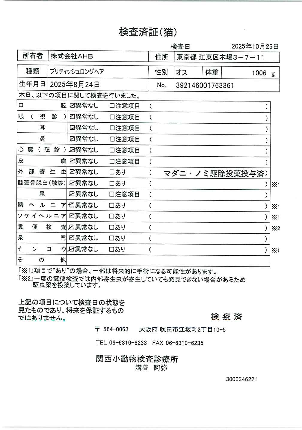 ブリティッシュロングヘア