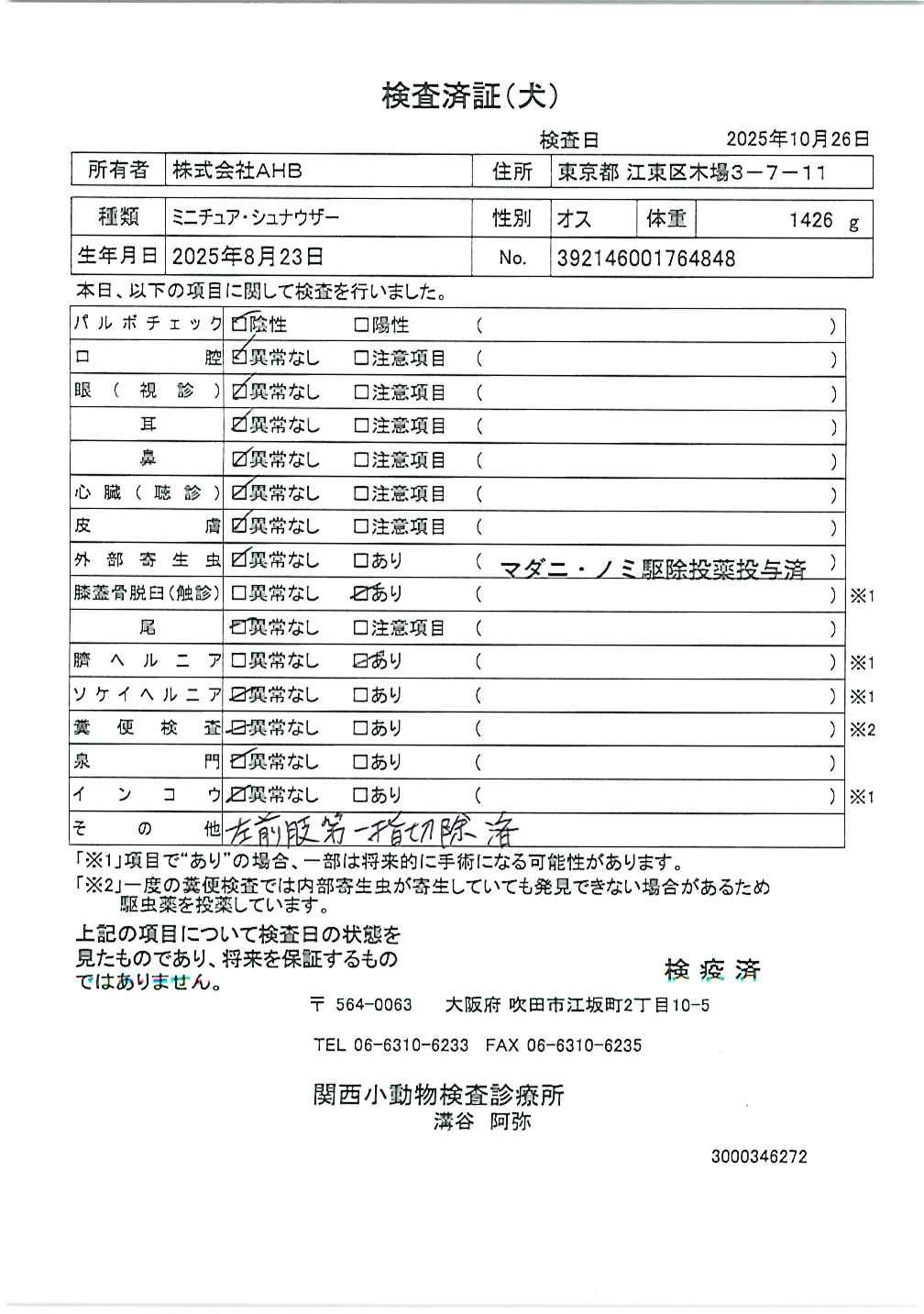 ミニチュア・シュナウザー