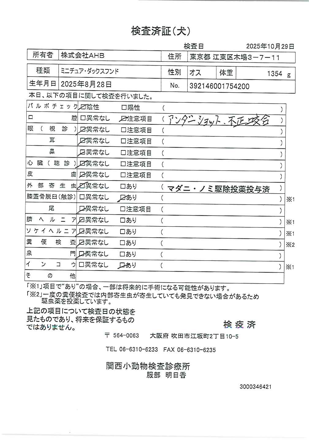 ミニチュア・ダックスフンド